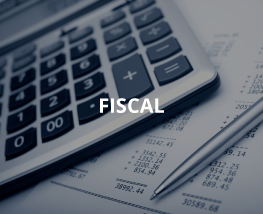 Fiscal